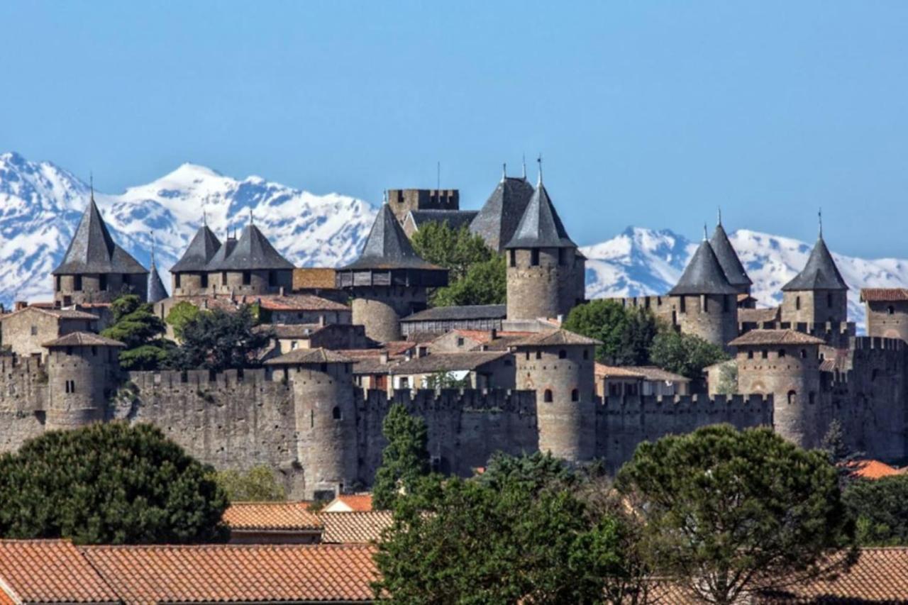 Appartement Proche Cite Medievale Et Centre Ville - Parking Prive Carcassonne Eksteriør bilde